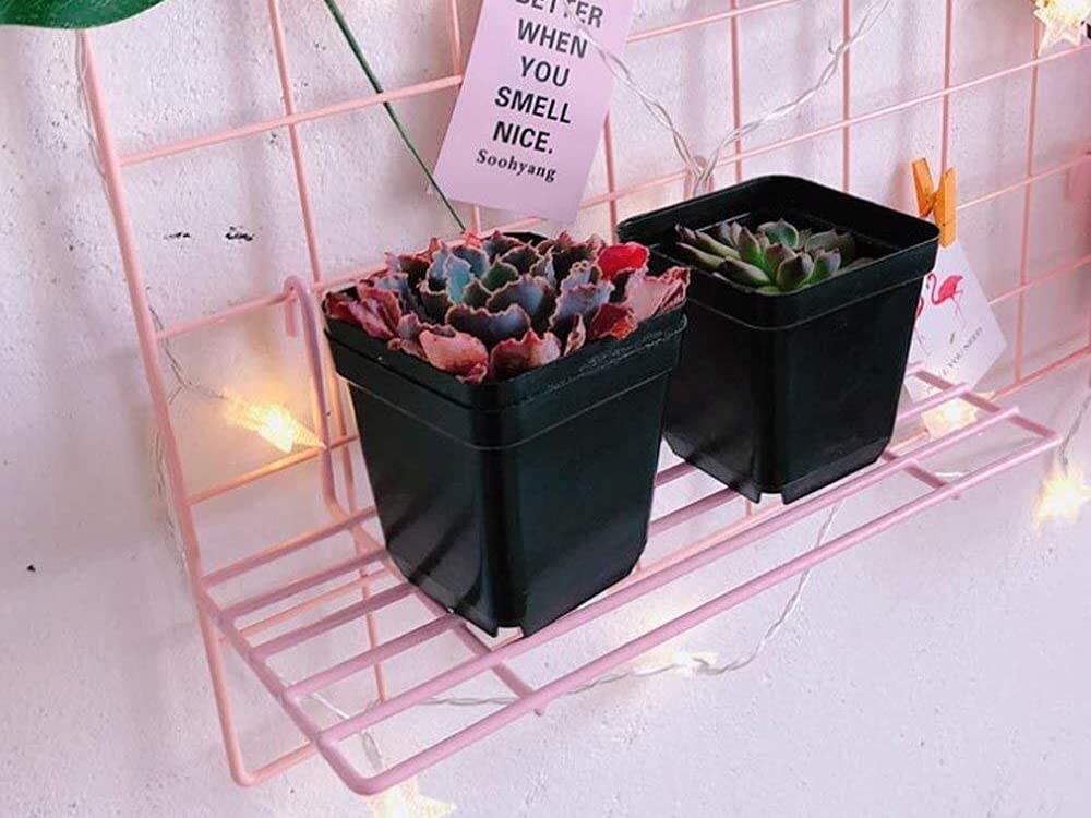 Basket and tray on the grid